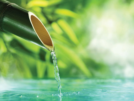 Certus Psychiatry Therapy Image Of Bamboo With Water Rolling Out Of It Into a Tranquil Pond Certus Psychiatry Therapy Image Of Bamboo With Water Rolling Out Of It Into a Tranquil Pond